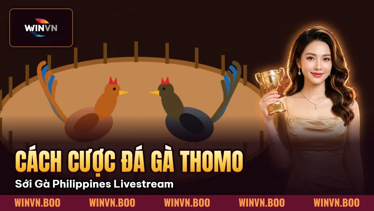 Cách Cược Đá Gà Thomo – Sới Gà Philippines Livestream